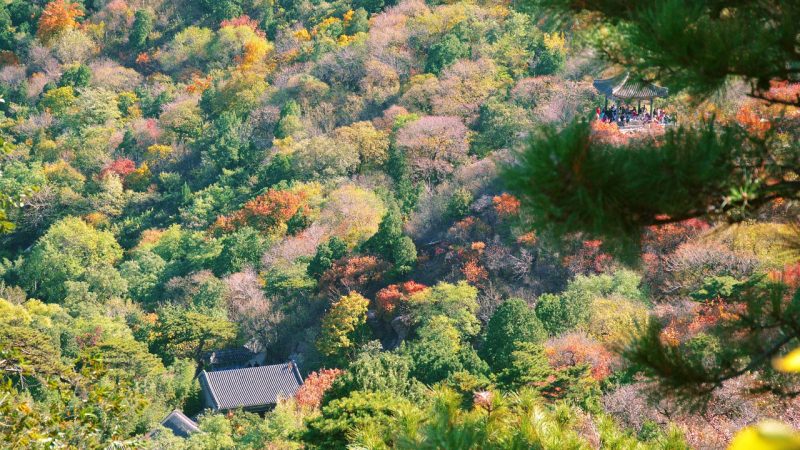 动漫免费在线观看写错了、想补充、要投诉，都从这里